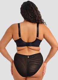 Elomi Teagan Rainbow High Leg Brief