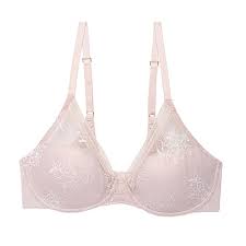 Natori Love Lace Full Coverage Plunge