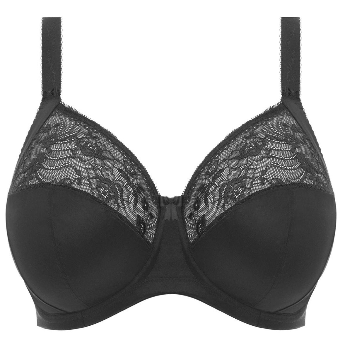 Elomi Morgan Banded Bra with three-section cups, stretch lace top, and side support frame. Available at The O Shop in Central Mass.

