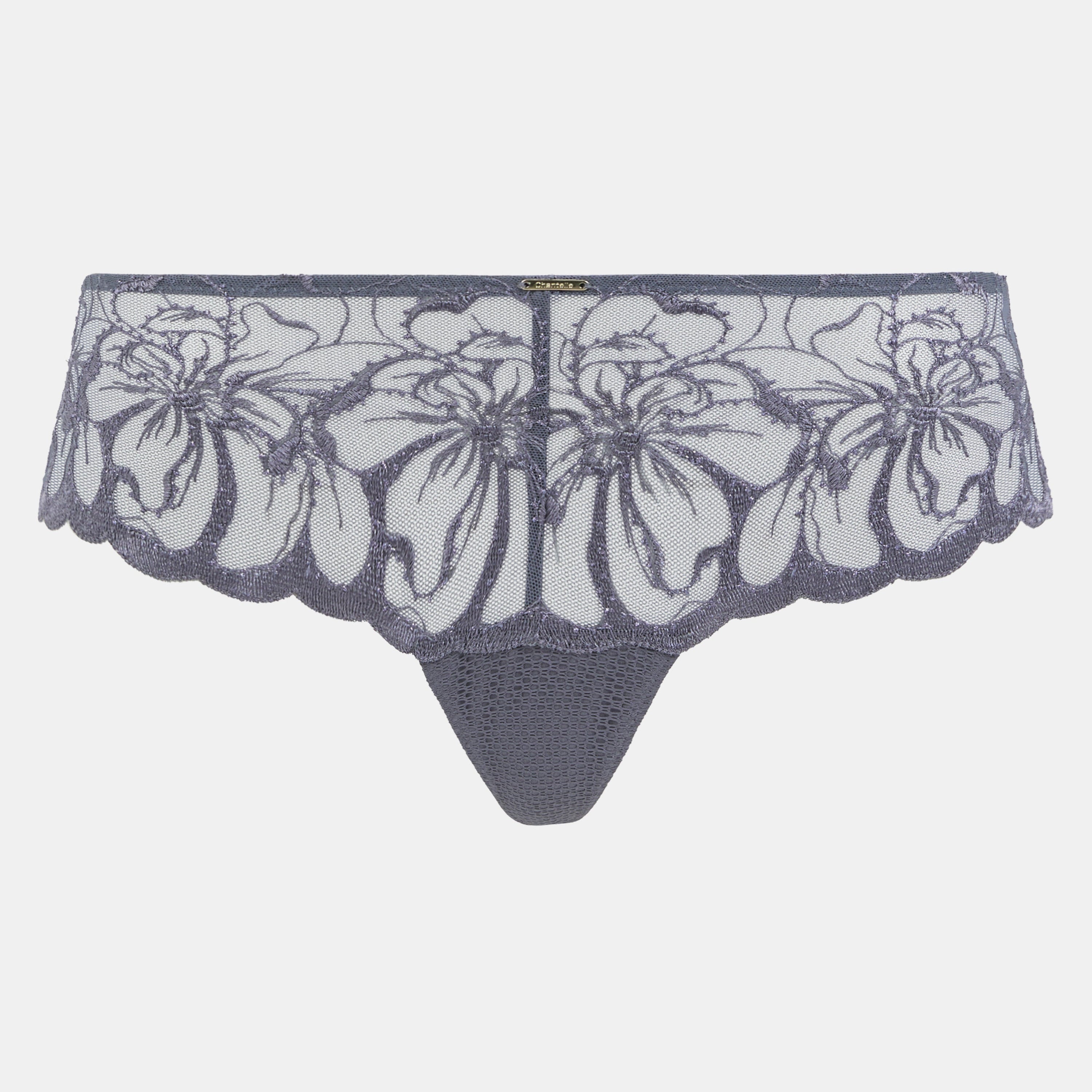 Chantelle Fleurs Lace Hipster in Stardust Grey displayed on a white background, highlighting the sheer embroidered floral lace and scalloped edging.